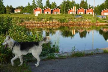 Фото номера Коттедж с сауной (2 взрослых) Дома для отпуска Wanha Pappila Cottages г. Simoniemi 32